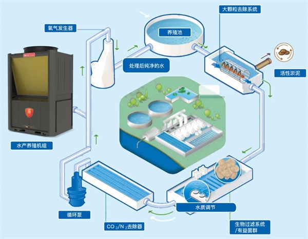 绿色水产养殖：空气能热泵技术的魅力